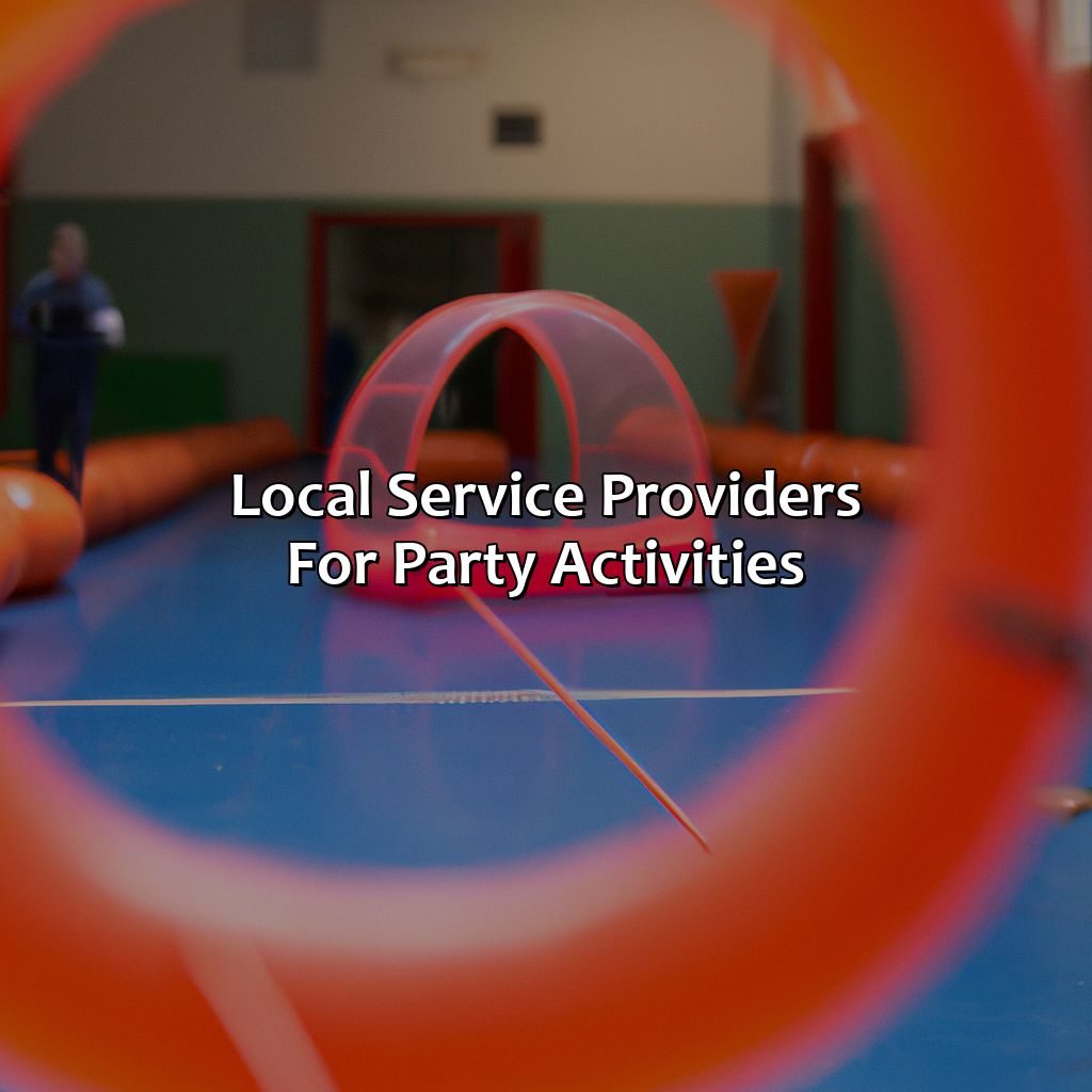 Local Service Providers For Party Activities  - Nerf Party, Archery Tag Party, And Bubble And Zorb Football Party Local To Waterloo, 
