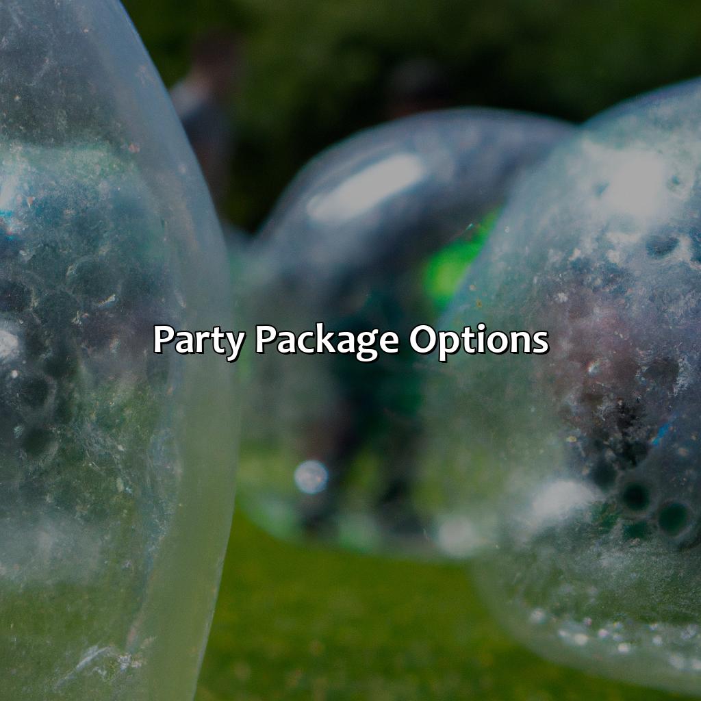 Party Package Options  - Bubble And Zorb Football Party, Archery Tag Party, And Nerf Party Local To Andover, 